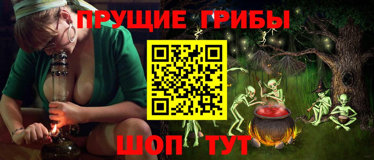 Псилоцибиновые грибы GOLDEN TEACHER  купить наркотики сайты  Дедовск  Вход с VPN  Галлюциногенные грибы Psilocybine cubensis 